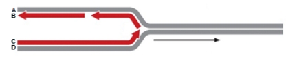 <strong>In the diagram below, which letter indicates the 5' end of the leading strand? </strong> A)A B)B C)C D)D E)C and D