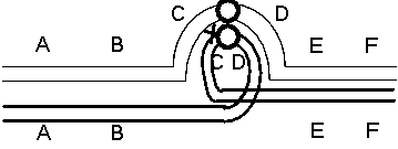 Isochromosomes have the structure ABC<sup>-</sup>CBA (where <sup>-</sup> represents the centromere, and A, B, and C represent wild-type alleles of three different genes).In some cases, such isochromosomes are derived from two copies of one-half of a metacentric chromosome, which has a centromere near its center.For example, a wild-type metacentric chromosome ABC<sup>-</sup>DEF might form two distinct isochromosomes, ABC-CBA and FED-DEF.The centromeres of such distinct isochromosomes can be homologous, so that they cause the segregation of the two distinct isochromosomes from each other during meiosis. a.A mutant of genotype ABC-CBA/FED-DEF is viable.If you cross this mutant with a wild-type individual, what would you expect to be the genotype of the offspring? Would these offspring be viable or not? Explain. b.What would you expect if you cross this mutant with another individual of genotype ABC-CBA/FED-DEF? Explain. c.You are given a pericentric inversion mutant in which this same chromosome is of genotype ABD-CEF.In an individual heterozygous for this inversion and a wild-type chromosome there is a crossover between C and the centromere, as follows: Indicate the gametes that would be generated. d.Assume that the inversion interval is very small, so that both duplications and deletions for this interval (from C to