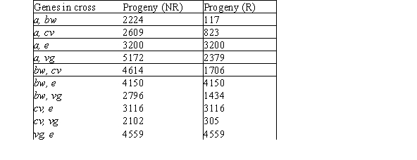 <strong>A series of two-point crosses among fruit flies is carried out between genes for brown eyes (bw), arc wings (a), vestigial wings (vg), ebony body color (e), and curved wings (cv).The following number of nonrecombinant and recombinant progeny were obtained from each cross: Using these data from two-point crosses, what it the BEST genetic map (in cM)that can be developed?</strong> A)cv 5 bw 13 a 34 vg with e assorting independently B)bw 5 cv 24 vg 32 a with e assorting independently C)a 5 bw 13 vg 24 e with vg assorting independently D)cv 13 bw 5 a 27 vg with e assorting independently E)bw 5 a 24 cv 13 vg with e assorting independently