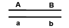 <strong>Two genes, A and B, are located 30 map units apart.The dihybrid shown below is mated to a tester aa bb.What proportion of the offspring is expected to be dominant for both traits? </strong> A)0% B)15% C)30% D)35% E)70%