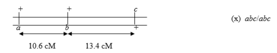 <strong>Consider the following three-point (trihybrid)testcross: Calculate the number of double crossovers you would expect to observe if 1000 progeny result from this testcross assuming a coefficient of coincidence of 0.25.</strong> A)About 14 B)About 26 C)About 10 D)About 4 E)None, because there is crossover interference