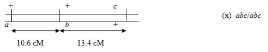 <strong>Consider the following three-factor (trihybrid)testcross: Calculate the number of expected individuals of a<sup>+</sup>a bb c<sup>+</sup>c genotype if 1000 progeny result from this testcross.</strong> A)About 102 B)About 46 C)About 130 D)About 65 E)About 250