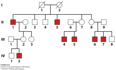 <strong>The trait shown below is expressed only in males in the family.What is the BEST explanation for the inheritance of this trait? </strong> A)Y-linked inheritance B)Sex-linked (X-linked)recessive inheritance C)Autosomal recessive inheritance D)X-linked dominant inheritance E)None of these explanations fit for this trait.
