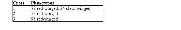 <strong>While doing field work in Madagascar, you discover a new dragonfly species that has either red (R)or clear (r)wings.Initial crosses indicate that R is dominant to r.You perform three crosses using three different sets of red-winged parents with unknown genotype and observe the following data: Which cross is likely to have at least one parent with the genotype RR?</strong> A)Cross 1 B)Cross 2 C)Cross 3 D)Crosses 1 and 2 E)Crosses 2 and 3