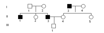 <strong>If the pedigree is for an autosomal recessive characteristic, which individuals are definitely heterozygous? </strong> A)I-1, I-2, II-2, II-4, and II-5 B)I-1, I-2, I-4, III-1 C)I-1, I-2, II-4, II-5, III-1 D)II-2, II-4, II-5, II-3 E)II-2, II-4, II-5, III-1