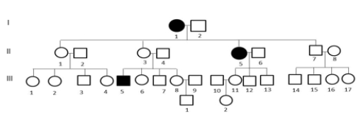 <strong>The pedigree below shows the segregation of an autosomal recessive trait in humans.Unless there is evidence to the contrary, assume that individuals who marry into the family do not carry the recessive allele.If IV-1 and IV-2 marry, what is the probability that their first child will have this trait? </strong> A)1/16 B)1/6 C)3/64 D)1/9 E)1/24