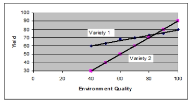 <strong>The graph below shows how yield in two varieties of corn respond to different environmental conditions.Which statement below is TRUE? </strong> A)Under tested conditions, variety 1 has a higher yield than variety 2. B)Under tested conditions, variety 2 has a higher yield than variety 1. C)Under tested conditions, variety 2 is more sensitive to environment quality than variety 1. D)Variety 1 is genetically superior to variety 2. E)Variety 2 is genetically superior to variety 1.