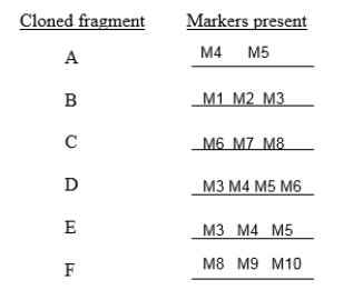 <strong>In the following list of cloned fragments, the fragments needed to make the longest possible contig with the least amount of overlap are: </strong> A)A, B, F. B)A, B, C, E. C)B, C, D, F. D)B, C, D, E, F. E)A, B, C, D, E, F.