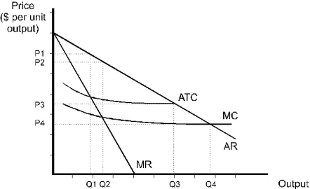<strong> Figure 10.1 The revenue and cost curves in the diagram above are those of a natural monopoly. Refer to Figure 10.1.The minimum feasible price is __________.</strong> A)P1 B)P2 C)P3 D)P4 E)none of the above
