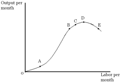 <strong>  Figure 6.1 Refer to Figure 6.1.At point C</strong> A)the marginal product of labor is greater than the average product of labor. B)the average product of labor is greater than the marginal product of labor. C)the marginal product of labor and the average product of labor are equal. D)the marginal product of labor and the average product of labor are both increasing. E)Both B and D are correct. <div style=padding-top: 35px> 