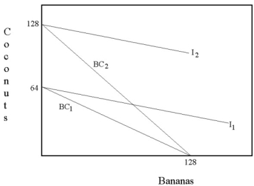 Roberta's initial budget constraint is BC<sub>1</sub> on the diagram below.Since Roberta's indifference curves are always flatter than her budget constraint,Roberta will consume all coconuts.Thus,she gathers and consumes 64 coconuts.When her neighbor arrives and offers the exchange,her budget constraint becomes BC<sub>2</sub>.It is now optimal for her to gather all bananas and exchange them 1 for 1 with her neighbor for coconuts.This gives her 128 coconuts to consume.This brings her to the higher indifference curve I<sub>2</sub>.Roberta is better off.  