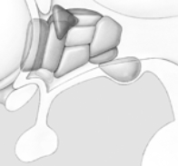 This is an illustration of the  