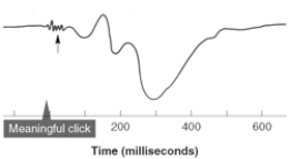 <strong>The short-latency low-amplitude signals (indicated by the arrow) in this average auditory evoked potential are termed </strong> A) the P300. B) the P400. C) the ERP. D) the sensory evoked potential. E) far-field potentials.
