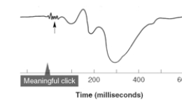 <strong>The short-latency low-amplitude signals (indicated by the arrow)in this average auditory evoked potential are termed </strong> A) the P300. B) the P400. C) the ERP. D) the sensory evoked potential. E) far-field potentials.