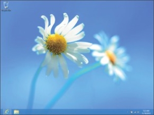   The figure shown above depicts the ________ screen.
