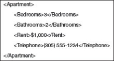 The text shown above represents information structured using ________ syntax.