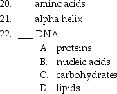Match the following characteristics or examples of organic molecules with the molecular classification.