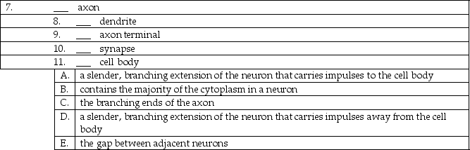 Match the following structures with the proper description.