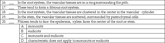 Match the following plant characters with the proper taxonomic grouping.