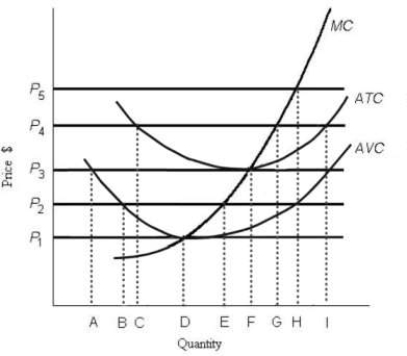 <strong>Consider the following short- run cost curves for a perfectly competitive firm. FIGURE 9- 1 Refer to Figure 9- 1. The diagram shows cost curves for a perfectly competitive firm. If the market price is P4, the profit- maximizing firm in the short run should produce output</strong> A) C. B) F. C) G. D) H. E) I.