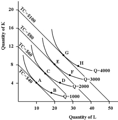The figure below shows the isocost lines and the isoquant map for a firm producing golf tees. FIGURE 8- 6 -Refer to Figure 8- 6. Suppose this firm is producing 3000 golf tees and is at point F on the isoquant map. In order to maintain its output and minimize costs this firm should