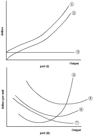 <strong>The diagram below shows some short- run cost curves for a firm. FIGURE 7- 2 4 -Refer to Figure 7- 2. Which of the following choices correctly identifies the cost curves in part (i) of the figure?</strong> A) Curve 1 is the total cost curve. Curve 2 is the total variable cost curve. Curve 3 is the average fixed cost curve. B) Curve 1 is the total cost curve. Curve 2 is the total variable cost curve. Curve 3 is the total fixed cost curve. C) Curve 1 is the total marginal cost curve. Curve 2 is the total average cost curve. Curve 3 is the total average fixed cost curve. D) Curve 1 is the total fixed cost curve. Curve 2 is the total variable cost curve. Curve 3 is the total cost curve. E) Curve 1 is the total variable cost curve. Curve 2 is the total cost curve. Curve 3 is the total fixed cost curve.