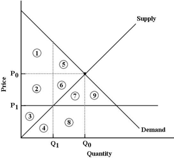FIGURE 5- 6 -Refer to Figure 5- 6. The market for good X is in equilibrium at P0 and Q0. Now suppose the government imposes a at P1. One result would be .