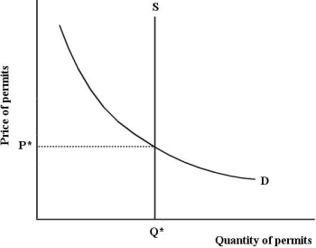 <strong>The diagram below shows the market for tradable pollution permits. Figure 17- 7 Refer to Figure 17- 7, which depicts the market for tradable pollution permits. If there is an increase in firms' marginal cost of pollution abatement,</strong> A) the price of pollution permits will fall. B) firms decide to abate more pollution. C) firms will demand fewer pollution permits. D) firms will demand more pollution permits. E) firms require exactly Q* permits.