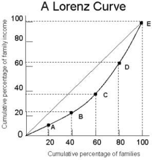 <strong> FIGURE 13- 1 Refer to Figure 13- 1. On the Lorenz curve shown in the diagram,</strong> A) the richest 20 percent of families earn over 60 percent of total income. B) the richest 20 percent of families earn almost 40 percent of total income. C) the functional distribution of income is shown. D) the poorest 20 percent of families earn almost 90 percent of total income. E) perfect equality of income distribution occurs.