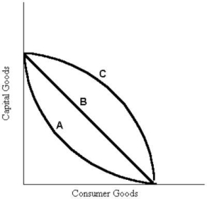 FIGURE 1- 5 -Refer to Figure 1- 5.Which production possibilities boundaries exhibit decreasing opportunity costs?