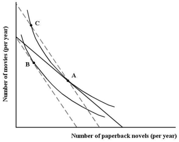 Sophie consumes two goods - paperback novels and visits to the movies. FIGURE 6-12 -Refer to Figure 6-12.Sophie's movement from point A to point C is