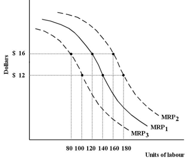 The diagram below shows the MRP curve for a firm producing copper plumbing pipe.The factor of production being considered here is hours of labour. FIGURE 13-1 -Refer to Figure 13-1.This firm's MRP curve is the firm's