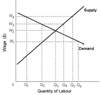 FIGURE 14-5 -Refer to Figure 14-5.If this labour market is perfectly competitive,an increase in the legislated minimum wage from W<sub>2</sub> to W<sub>3 </sub>would
