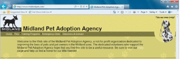 In the figure above, the URL is Midland Pet Adoption Agency.