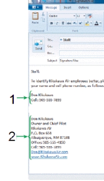   -Referring to the figure above, the area labeled 1 shows an example of a(n) ____________________ signature.