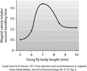 <strong>Which of the following conclusions is supported by this graph? </strong> A)Prey size does not affect the number of calories gained per second of handling time by wagtails. B)Wagtails get more calories per second of handling time with larger flies than with smaller ones. C)Wagtails get more calories per second of handling with 7- mm flies than with either larger or smaller ones. D)Wagtails get more calories per second of handling time with smaller flies than with larger ones.