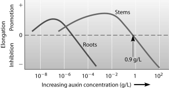 Which of the following statements is supported by this figure?