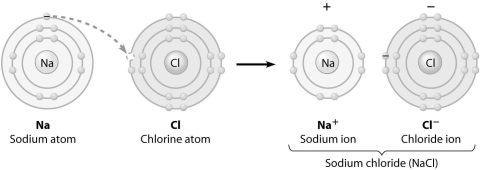 <strong>What change is occurring in this figure? </strong> A)Chlorine is losing an electron. B)Sodium is becoming negatively charged. C)Sodium is filling its third electron shell. D)Chlorine is filling its third electron shell.