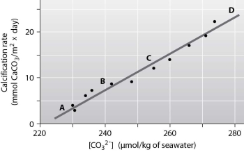 <strong>Below is a figure from an experiment that was performed to measure the effect of carbonate ion (CO₃²⁻)concentration on the calcification (growth)rate of coral reefs. At which point on the graph is the ocean pH the lowest? </strong> A)A B)B C)C D)D