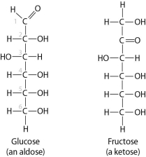 <strong>These two molecules are structural isomers. What is the difference between them?  </strong> A)the number of carbon atoms B)the number of hydrogen atoms C)the location of a double-bonded oxygen atom D)Only one of them has a double bond between carbon atoms. <div style=padding-top: 35px> 