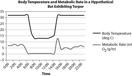 <strong>After reading the paragraph below, answer the questions that follow. Most bats are inactive during the day (this is known as torpor) and feed during the night. The graph below shows hypothetical data for a bat species. Bats contain brown fat between their shoulder blades. How could this brown fat be an adaptation to torpor?</strong> A)Brown fat has many mitochondria, so it can produce more ATP. B)Brown fat can produce heat and ATP through fermentation. C)The mitochondria in brown fat can produce heat without making ATP. D)It is not an adaptation; white fat is what they need to produce heat.