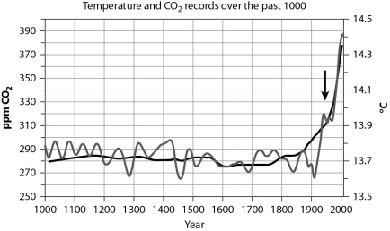 <strong>After reading the paragraph below, answer the questions that follow. The graph below shows records of temperature (light gray line) and CO₂ (dark gray line) over the past 1,000 years. CO₂ is recorded in parts per million (ppm). If the trends shown in the graph continue, how might this affect photosynthesis?</strong> A)Photorespiration may increase, leading to an increase in photosynthetic production of sugar. B)Photorespiration may increase, leading to a decrease in photosynthetic production of sugar. C)C₄ and CAM plants would be unable to photosynthesize. D)There would be no effect on photosynthesis, since CO₂ and temperature are stable.