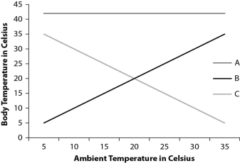 <strong>Which line on the graph corresponds to an amniote?  </strong> A)A B)B C)C D)could be A or B <div style=padding-top: 35px> 