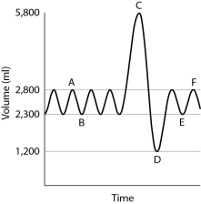After reading the paragraphs below, answer the questions that follow. Physicians routinely give their patients pulmonary function tests in order to measure characteristics of lung function. The most common of these tests, spirometry, measures both the volume and the speed of air entering and exiting the lungs. In this test, a person first breathes normally while breathing into a spirometer, a machine that measures air volume and air speed. Then the person takes the deepest breath possible and exhales as hard as possible for 6 seconds into the spirometer. The resulting data are plotted on a graph of volume (y axis) versus time (x axis). Spirometry is useful not only for assessing lung function in healthy patients but also for characterizing patients with lung conditions such as pulmonary fibrosis, asthma, or emphysema. A sample graph for a healthy adult male is shown below. Normal breathing occurs between points A and B, a maximal inhalation occurs at point C, and a maximal exhalation occurs at point D. Normal breathing resumes between points E and F. -For this data set, how much air is exhaled during a normal breath?