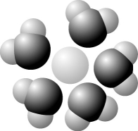<strong>  Based on your knowledge of the polarity of water molecules, the solute molecule depicted here is most likely</strong> A) positively charged. B) negatively charged. C) without charge. D) hydrophobic. E) nonpolar. <div style=padding-top: 35px> 