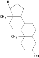 <strong>Which of these molecules would be soluble in water?</strong> A)   B)   C)   D)   E)   <div style=padding-top: 35px> 