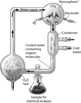 <strong>Which of the following people used this apparatus to study the formation of organic compounds? </strong> A) Stanley Miller B) Jakob Berzelius C) Friedrich Wohler D) Hermann Kolbe E) August Kekulé