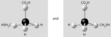 <strong> Which of the pairs of molecular structures shown below depict enantiomers (enantiomeric forms)of the same molecule?</strong> A) B) C) D) E)