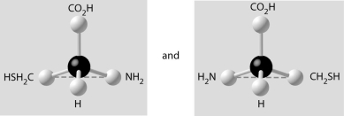 <strong> Which pair of molecules shown below are not enantiomers of a single molecule?</strong> A) B) C) D) E)