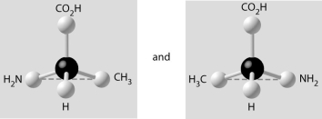 <strong> Which pair of molecules shown below are not enantiomers of a single molecule?</strong> A) B) C) D) E)